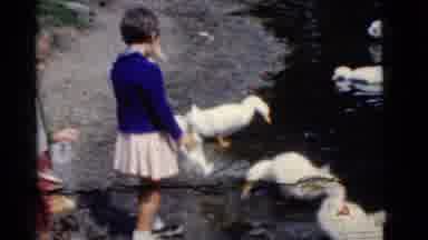 Camden New Jersey USA (1961): Girl Next To Water Feeds White Ducks Children Walk