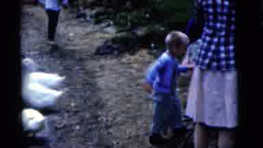 Camden New Jersey USA (1961): The Childrens Are Give The Food To The Duck