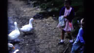 Camden New Jersey USA (1961): The Child Is Preying On The Crane
