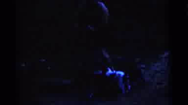 Camden New Jersey USA (1961): A Couple Of Puppies Jumping Around And Playing With
