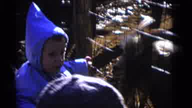 Camden New Jersey USA (1961): The Children Were Playing With The Animals In The