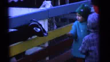 Camden New Jersey USA (1961): Father Says The Children Give The Food To The Goat