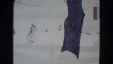 Madison Wisconsin USA (1960): Looking Outside Seeing The Snow And A Dog And The