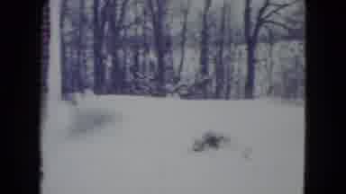 Madison Wisconsin USA (1960): A Snow Covered Land With A Cabin And Lot Of Trees