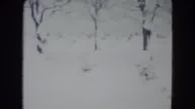 Madison Wisconsin USA (1960): Snow Blizzard Cold Ice Windows House Winter Trees