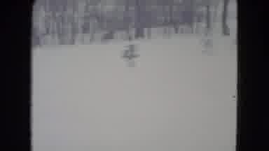 Madison Wisconsin USA (1960): Snow Landscape Surrounded By Trees Without Leaves