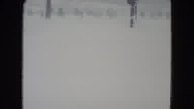 Madison Wisconsin USA (1960): Footage Of A Piece Of Land With Visible Trees