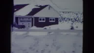 Madison Wisconsin USA (1960): Tan Dog Walks In Snow With View Os Snow Covered