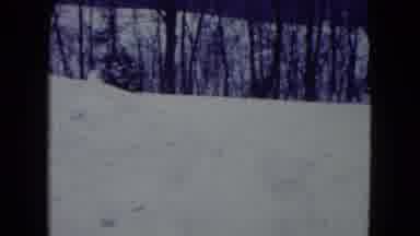 Madison Wisconsin USA (1960): Snow Field Changes To Man Washing A Cute Little Dog