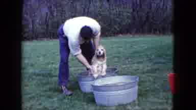 Madison Wisconsin USA (1960): Man Wearing Jeans And White Shirt Washes Cream