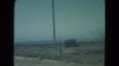 Nevada USA (1960): Passing View Of Barren Tree In Brown Field On A Sunny Day