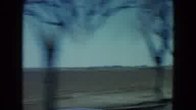 Nevada USA (1960): A Landscape Seen From Inside The Car At Medium Speed