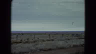 Nevada USA (1960): Panning Landscape Shot Of A Dry Grassy Plain On A Cloudy Day