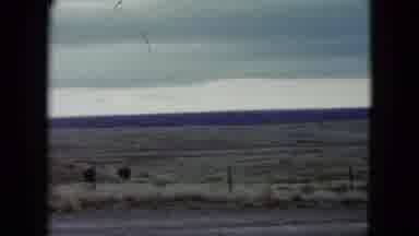 Nevada USA (1960): Beautiful Panoramic View Of Skyline And Dry Grass On A Cloudy
