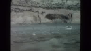 Nevada USA (1960): They Traveling On The Place Of Mountain So Beautiful