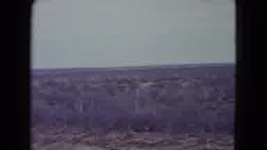 Nevada USA (1960): View Of A Forest With Dry Trees From A Muddy Road