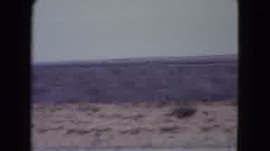 Nevada USA (1960): Traveling For The Holidays