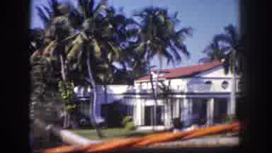 Tampa Florida USA (1960): Take A Scenic Boat Ride Through The Palm Trees And
