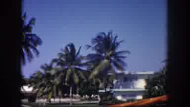 Tampa Florida USA (1960): Viewing A Neighborhood With White Homes Flat Top Roofs