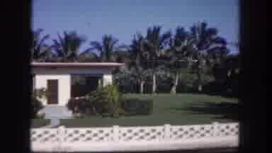 Tampa Florida USA (1960): Beachfront Homes And Lots Of Palm Trees With A White