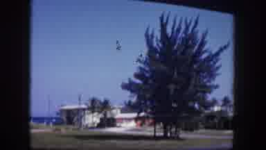 Tampa Florida USA (1960): A Person Walking Down The Road Is Taking A Video Of The