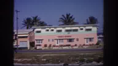 Tampa Florida USA (1960): Driving Down Street In A Tropical Climate Palm Trees