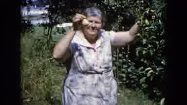 Wauconda Illinois USA (1960): The Lady Is Doing To Take The Fruit From The Plant