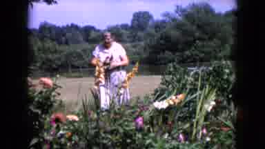 Wauconda Illinois USA (1960): Old Lady Picking Out Flowers