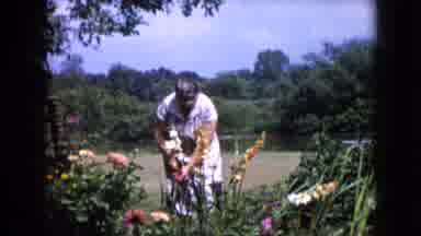 Wauconda Illinois USA (1960): Woman Attends To Flowers In Garden With Lawn Behind