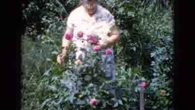 Wauconda Illinois USA (1960): Older Lady Outside With Flowers In An Old Style