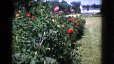 Wauconda Illinois USA (1960): Ranch Flag Family Life Country Style Flowers Sun