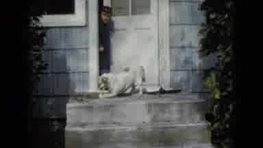 Wauconda Illinois USA-1960: Boy Wearing Blue Watches Dog Chew Bone On Porch