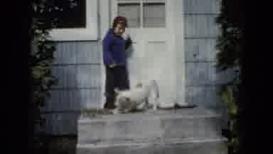 Wauconda Illinois USA (1960): The Little Boy Cross The Dog Near The Roadside