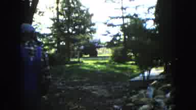Wauconda Illinois USA (1960): The Person Is Walking In The Garden And The Tractor
