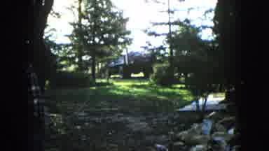 Wauconda Illinois USA (1960): A Shady Forest Scene With Green Grass And A Rocky