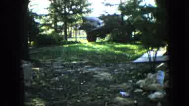 Wauconda Illinois USA (1960): Man Standing In Wild