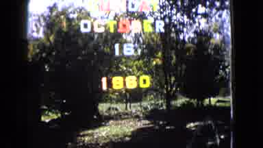Wauconda Illinois USA (1960): Look Like Park More Trees Like Nature At Sunday 1960