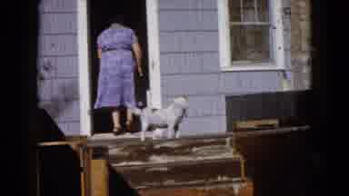Wauconda Illinois USA (1960): Dog Watching: Women Checks On Dog On Porch Dog