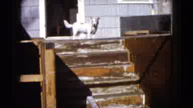 Wauconda Illinois USA (1960): Family And Kid Is Having Bonding Time