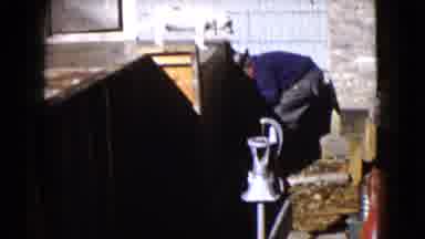 Wauconda Illinois USA (1960): A Poodle Looking At An Older Man In A Garage Sale