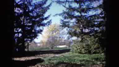 Wauconda Illinois USA (1960): A Man Outside Bouncing A Ball Then A Beautiful