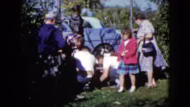 Wauconda Illinois USA (1960): The Crowd Gathers Around The Adorable New Litter Of