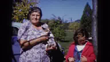 Wauconda Illinois USA (1960): Video Of A Family And Their Dogs