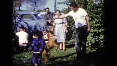 Wauconda Illinois USA (1960): Dog Trying To Reach Food In The Hands Of The