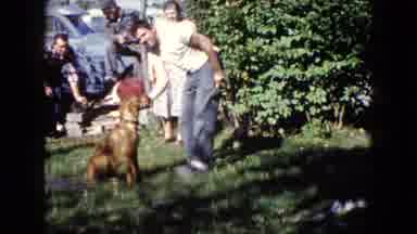 Wauconda Illinois USA (1960): The Guy Who Played With His Dog In Front Of His