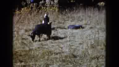 Wauconda Illinois USA (1960): Vintage Video Of Children Petting Goats Outdoors In