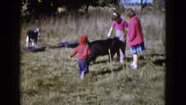 Wauconda Illinois USA (1960): Children In A Field With Tires Laying About Petting