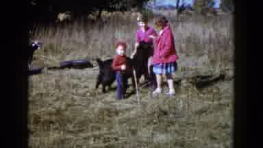 Wauconda Illinois USA (1960): People Petting A Goat