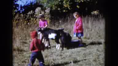 Wauconda Illinois USA (1960): Children Playing With Goats In A Big Garden In The