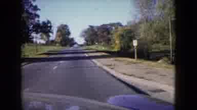 Wauconda Illinois USA (1960): Taking My Dog For A Walk In The Park In Pittsburgh